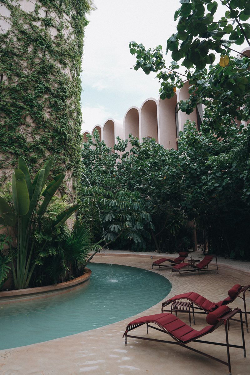 A curved pool bordered by palms beneath a vine-covered wall, red lounge chairs set on the sand beside it