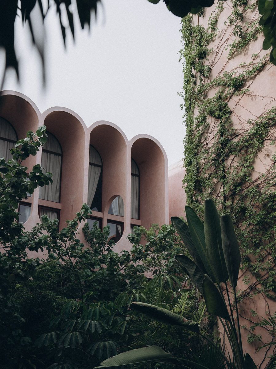 A row of arched balconies on a blush-toned building, seen past a vine-covered wall and tropical leaves