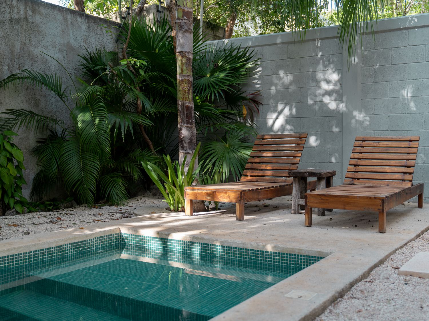 A small teal-tiled plunge pool in a shaded courtyard, two wooden loungers and a low side table set against dense tropical planting and a painted block wall