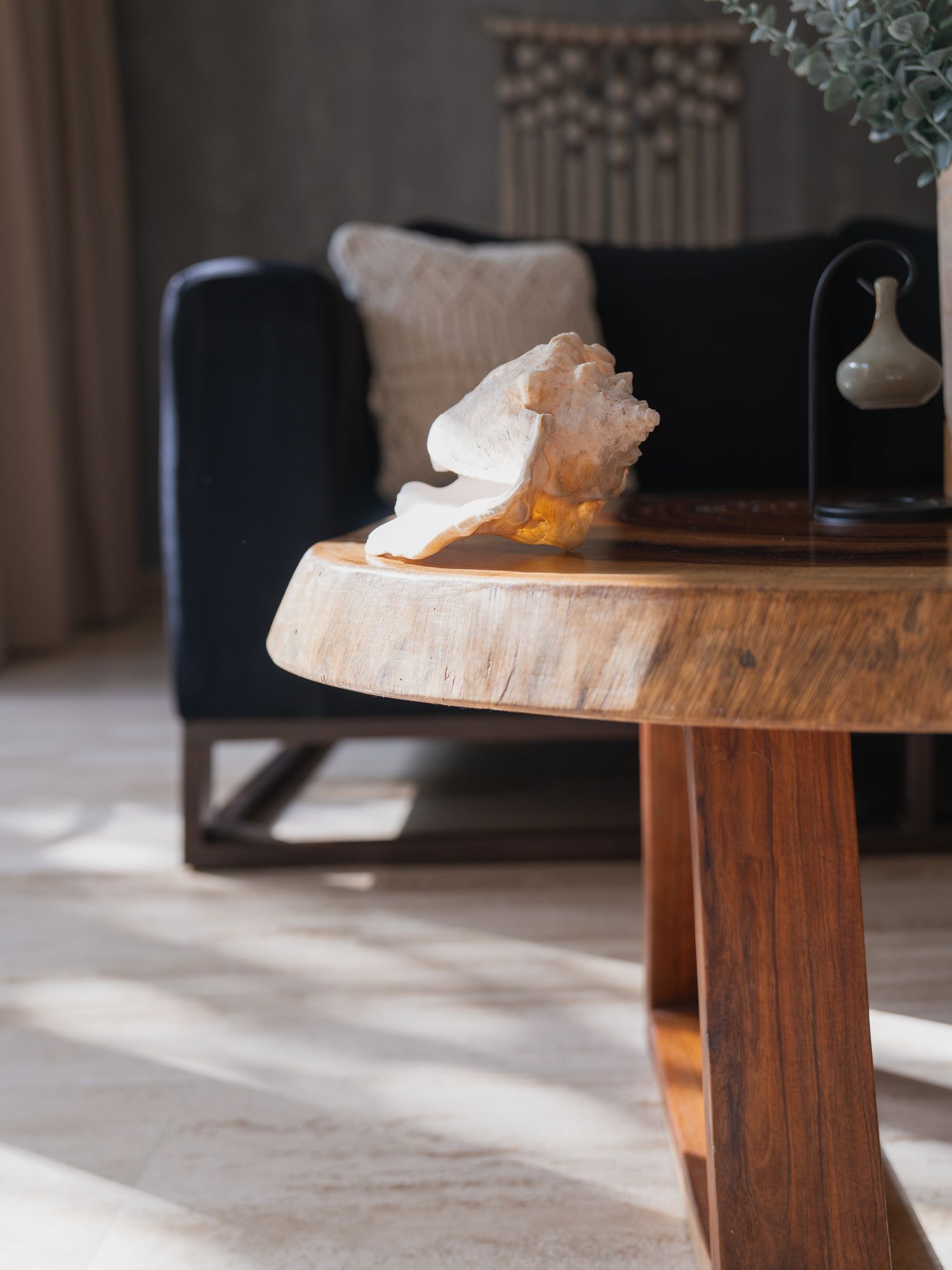 A large conch shell resting on a live-edge wood coffee table, a black armchair and textured cushion behind it, a slim black metal vase holding a single eucalyptus stem