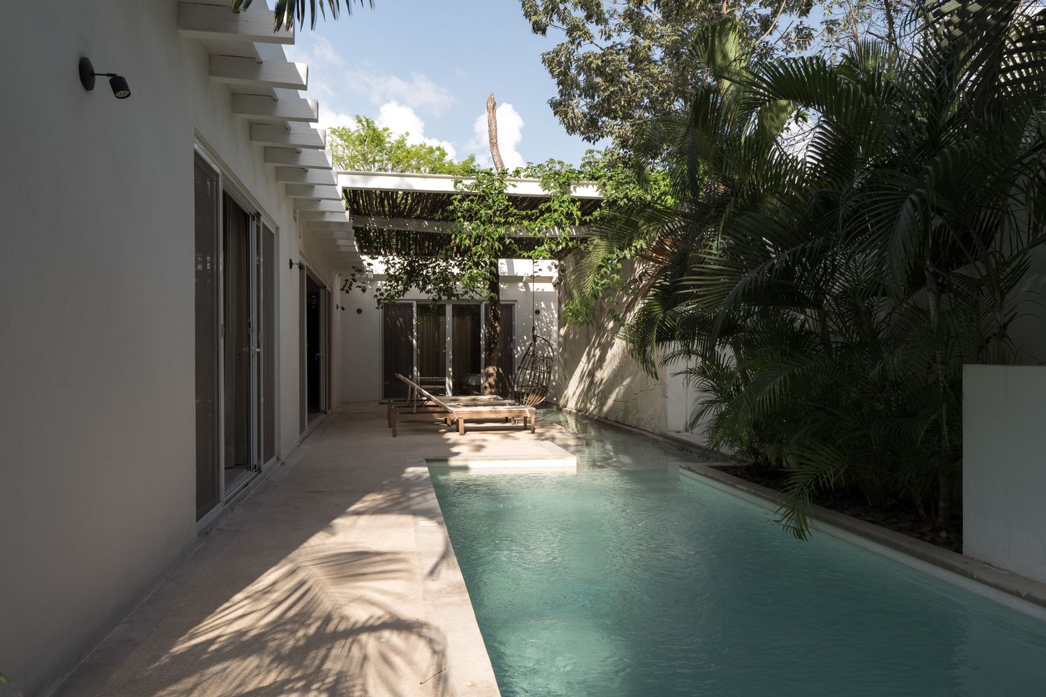 A narrow lap pool running the length of a plant-lined courtyard, wooden loungers and a hanging rattan chair beneath a vine-covered pergola, a tree trunk rising through the canopy above