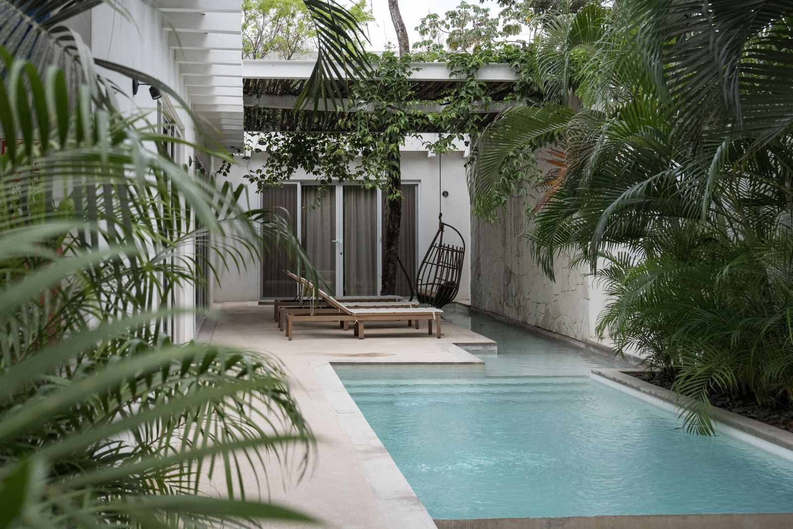 Tulum villa courtyard with a lap pool, framed by palm fronds on either side
